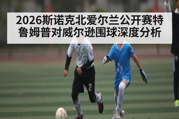 2026斯诺克北爱尔兰公开赛特鲁姆普对威尔逊围球深度分析